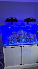 4ft aquarium tank for sale  CHESTERFIELD