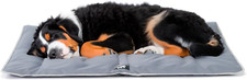 Cuccia cane cuscino usato  Roma