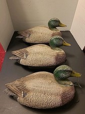 Lot mallard male for sale  Columbia Falls
