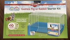 Bunny guinea pig for sale  North Easton