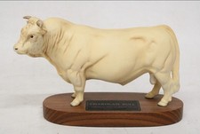 Beswick charolais bull for sale  MIDDLEWICH