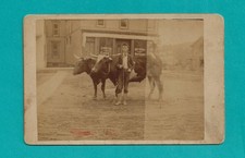 Cabinet card. young for sale  Owings Mills