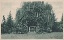 Cartolina tregasio triuggio usato  Bologna