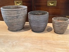 Set terracotta plant for sale  BRIGHTON