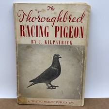 Kilpatrick thoroughbred racing for sale  Ocala