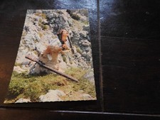 Marie versini sammler gebraucht kaufen Marie versini sammler gebraucht kaufen  Höchstädt a.d.Donau