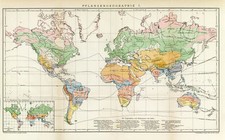 Pflanzen verbreitung historisc gebraucht kaufen  Göttingen