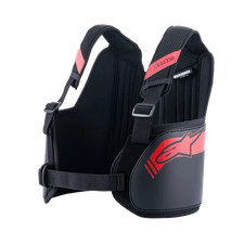 Alpinestars protège côtes d'occasion  Aubière