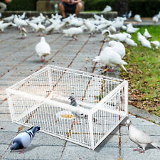 Feral pigeon trap for sale  COALVILLE
