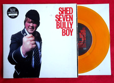 Shed seven bully for sale  AYLESBURY