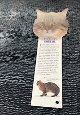 American bobtail cat for sale  Appleton