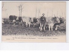 Yonne vie champs d'occasion  France