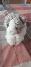 Small teddy herman for sale  HAYLE
