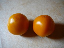 jungpflanzen gemuse gebraucht kaufen jungpflanzen gemuse gebraucht kaufen Pressig