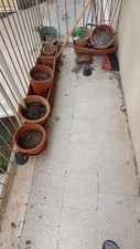 Vaso esterno giardino usato  Roma