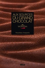 Sources grand chocolat d'occasion  France
