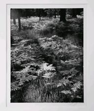 Ansel adams signed for sale  Vista