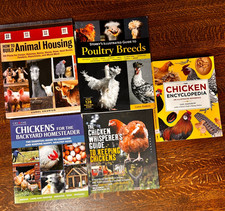 Chickens lot poultry for sale  Russellville