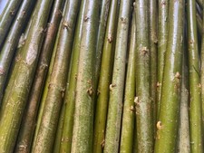 30cm 12inches willow for sale  DERBY