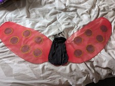 live ladybirds for sale  WORTHING