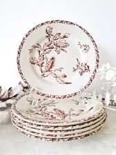 Assiettes plates terre d'occasion  Saint-Loup-sur-Semouse