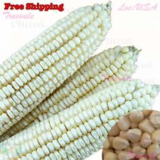 White organic sticky for sale  Ontario