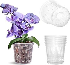 Pack inch orchid for sale  Brooklyn