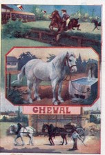 joug cheval d'occasion joug cheval d'occasion Oye-Plage