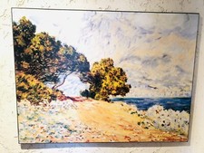 Bild vom meer gebraucht kaufen  Reichenbach/O.L.