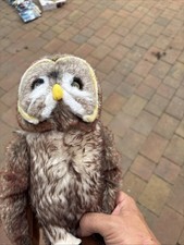 harry potter owl for sale harry potter owl for sale NOTTINGHAM