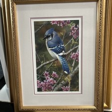 Carl brenders flash for sale  West River