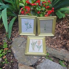 Vintage set gold for sale  Danbury