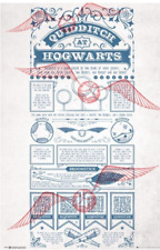 Harry potter quidditch for sale  YEOVIL