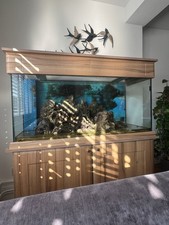 Marine fish tank for sale  HORSHAM
