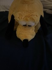 Pluto pillow pet for sale  Dallas