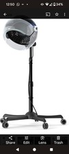 Colliford standing hair for sale  WARRINGTON