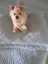 puppy yorkies for sale puppy yorkies for sale Deerfield Beach