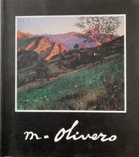 Matteo olivero usato  Candelo