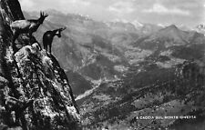 48b cartolina dolomiti usato  Lugo