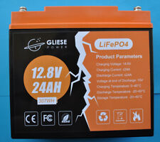 Batteria litio 12v usato  Latisana