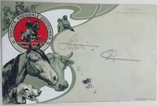 Cartolina società nazionale usato Cartolina società nazionale usato  Roma