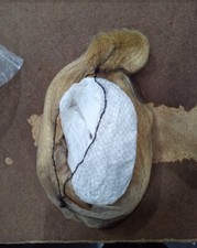 Ombre 613 blonde for sale  USA