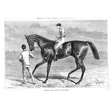 Horse racing ormonde for sale  GLASGOW