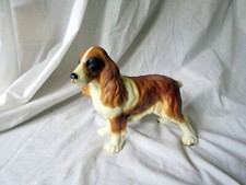 springer spaniel dogs for sale springer spaniel dogs for sale STIRLING