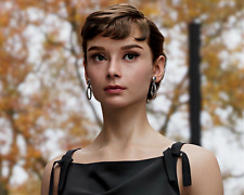 Audrey hepburn photograph for sale  Hernando