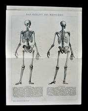 1894.antica cromolitografic da usato  Pozzallo