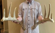 elk shed antlers for sale  Magnolia