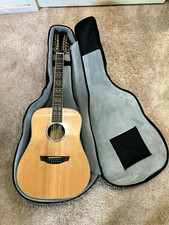 Orangewood echo live for sale  Kalamazoo