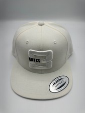 Big basketball adult for sale  Beverly Hills