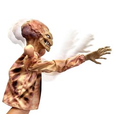 Horror reachers pumpkinhead for sale  Gilberts